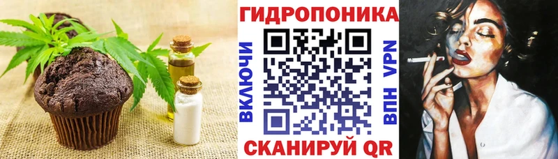 OMG tor  где купить   Дигора  Еда ТГК конопля 