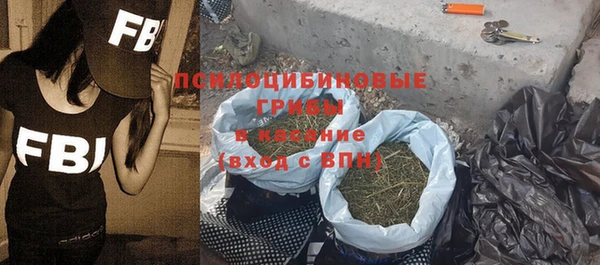 2c-b Заводоуковск