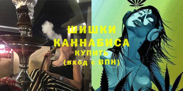 дживик Ельня